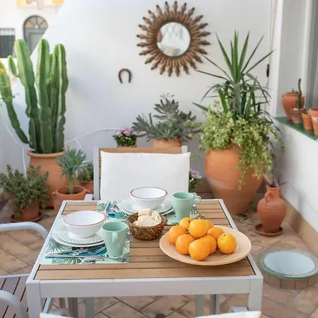 Cosy With Terrace In The Centre Of * Seville