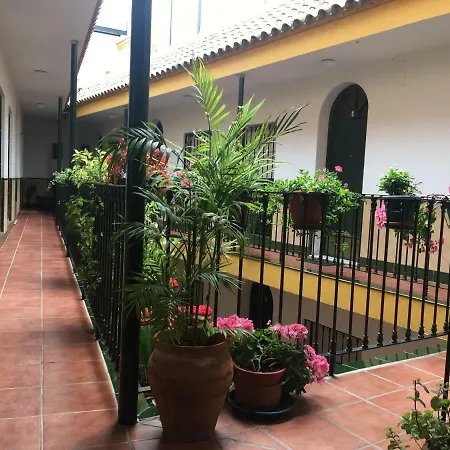 Cosy With Terrace In The Centre Of Apartment Seville
