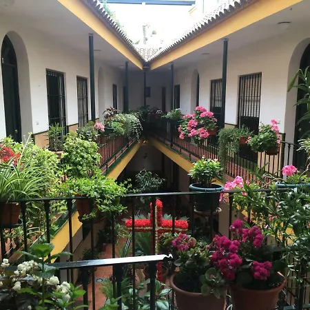 Cosy With Terrace In The Centre Of Apartment Seville