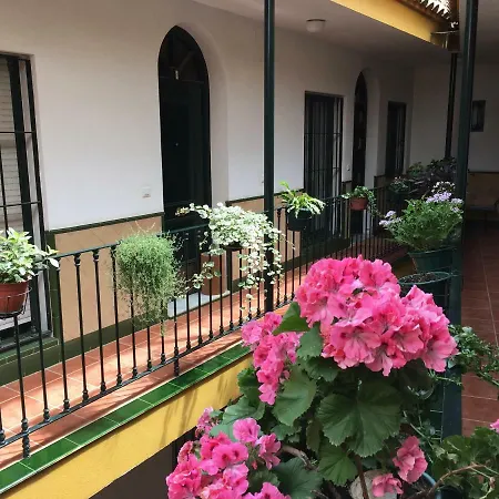 Cosy With Terrace In The Centre Of Apartment