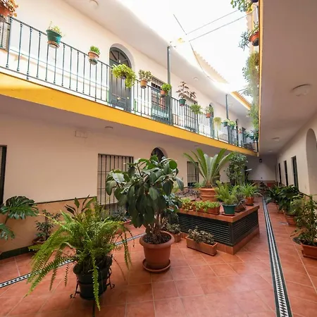 Cosy With Terrace In The Centre Of Apartment
