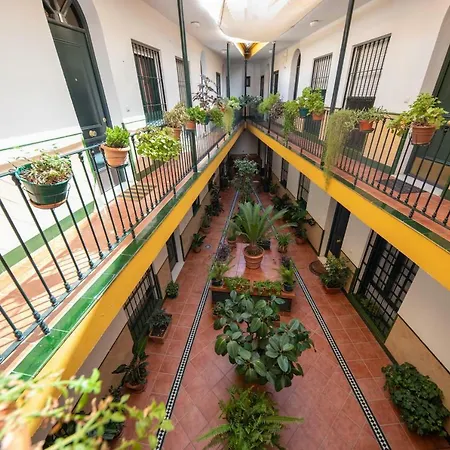 Appartement Cosy With Terrace In The Centre Of